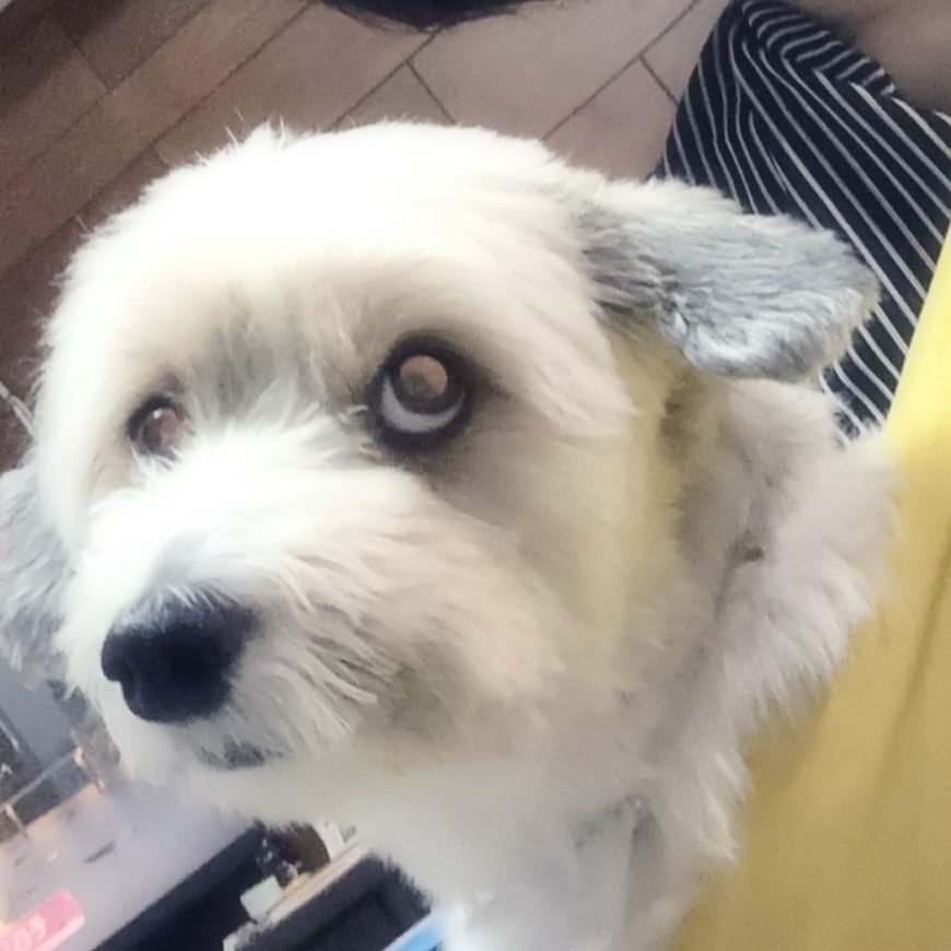 すっかり中で落ち着いています