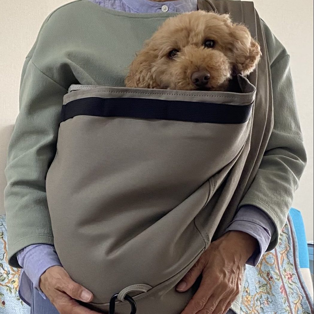 入りたいと‼️入ってくれます