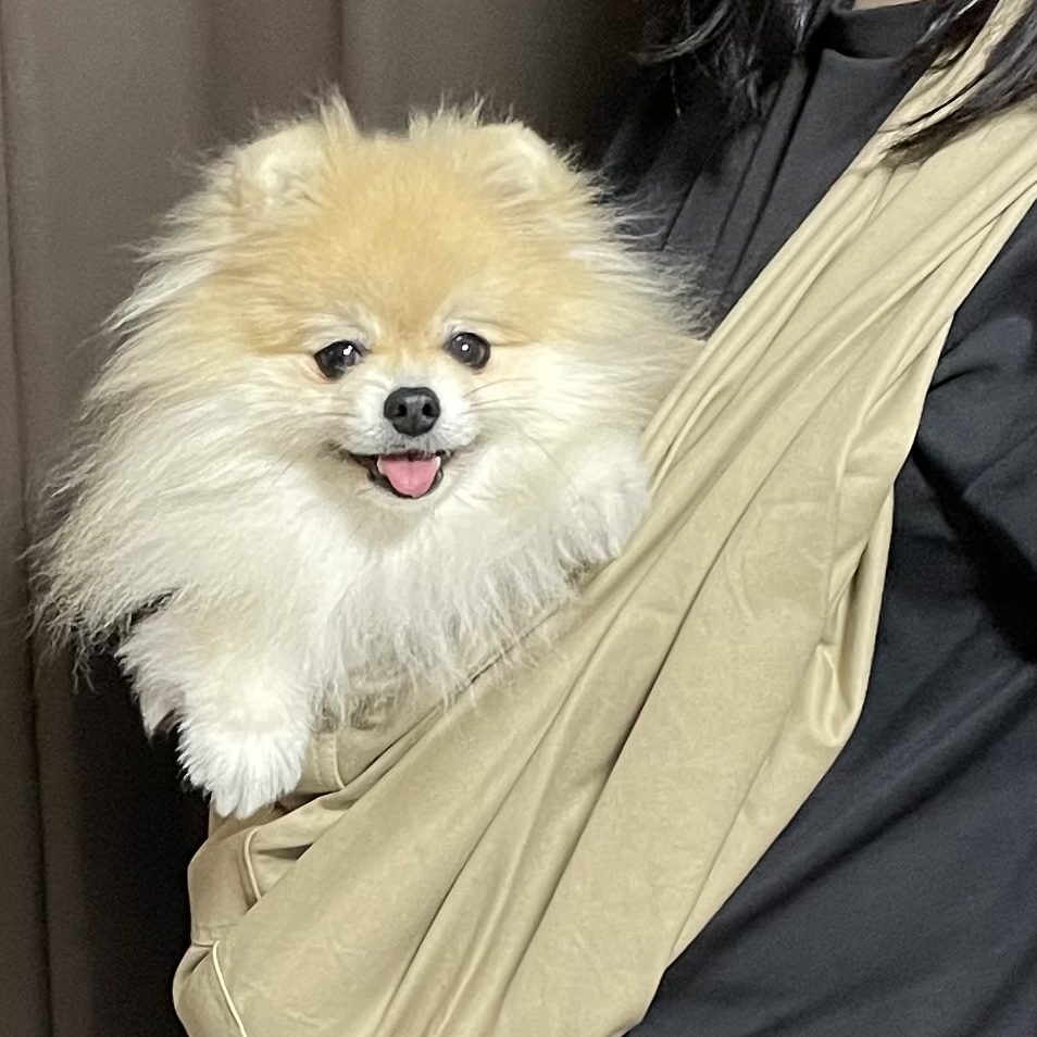 無料で交換可能