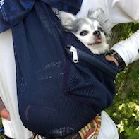 爪などがひっかかることもなくとても使いやすい