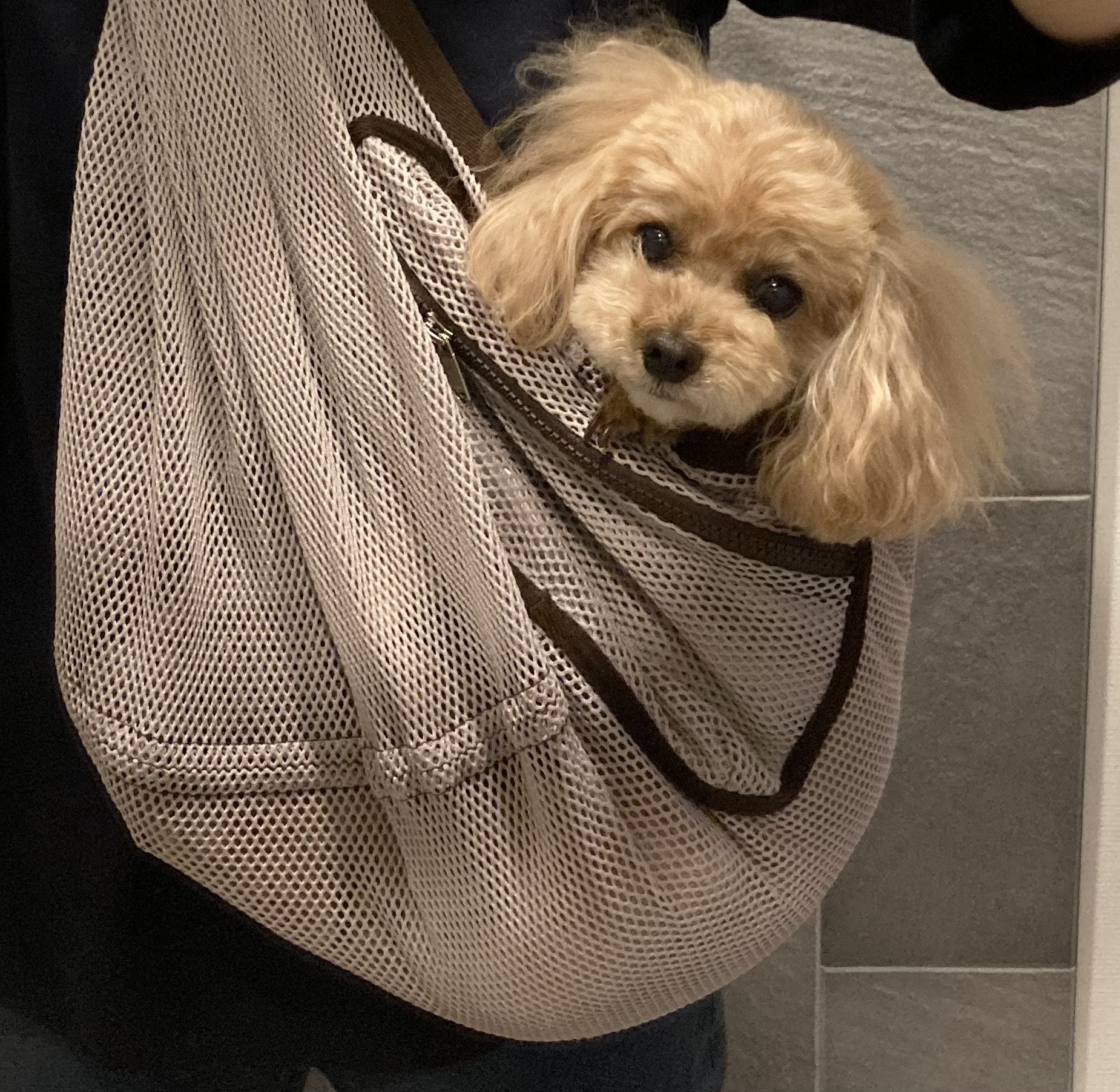 とにかく抱っこが楽