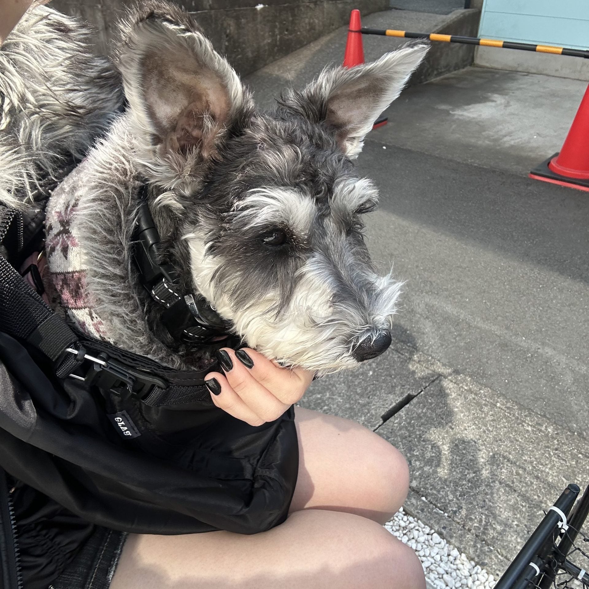 楽しく抱っこ
