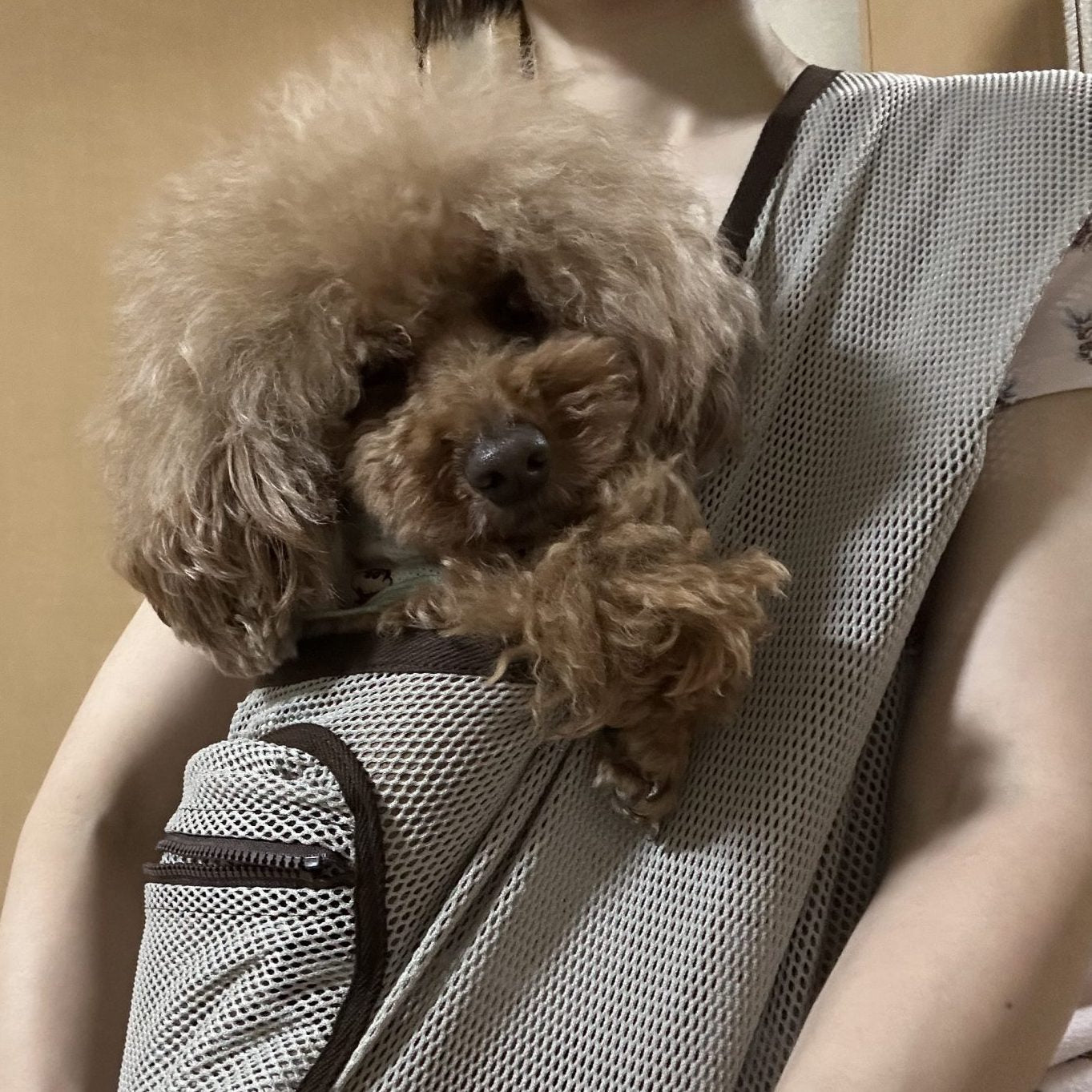 腰が楽につけられるのはervaさんのスリングだけ