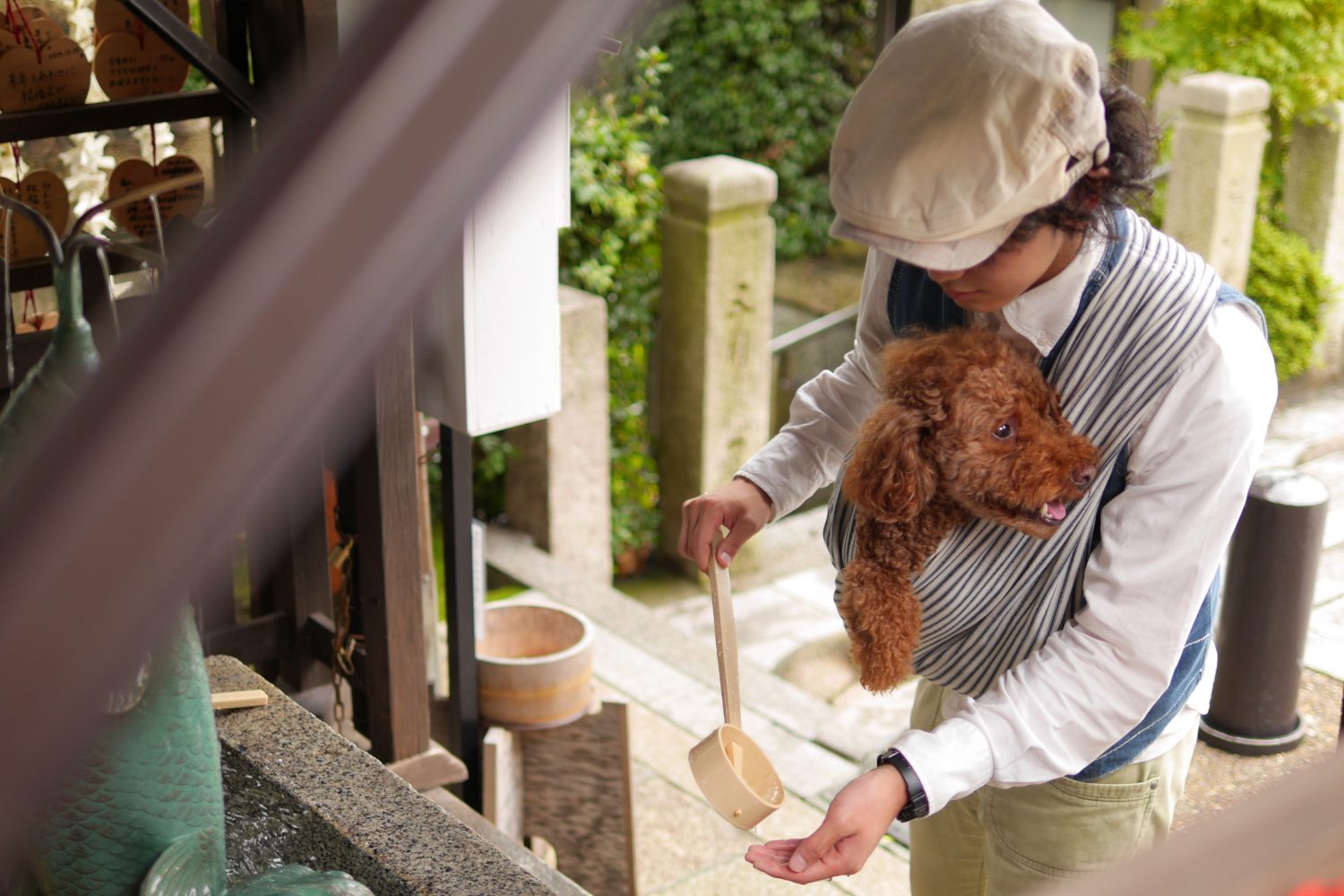 愛犬との行動範囲が増える!犬用抱っこ紐が便利な8つの理由