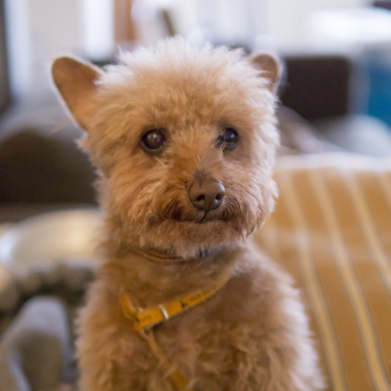 vol.3 元気になったよ!はじめて来た日とトライアル出発前のビフォーアフター