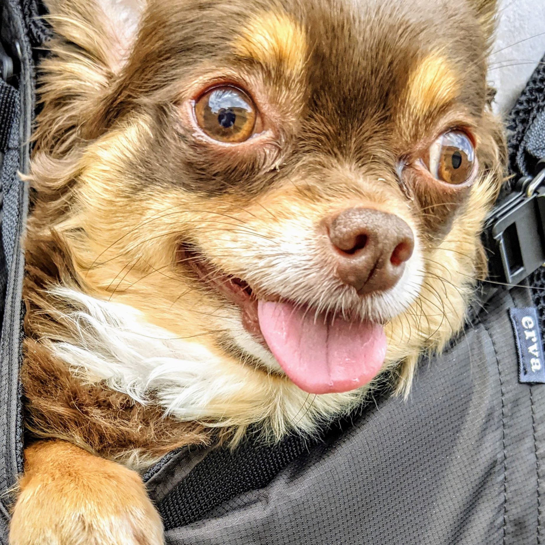 快適で肩も凝らない