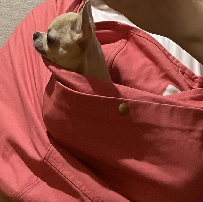 シンプルであること。