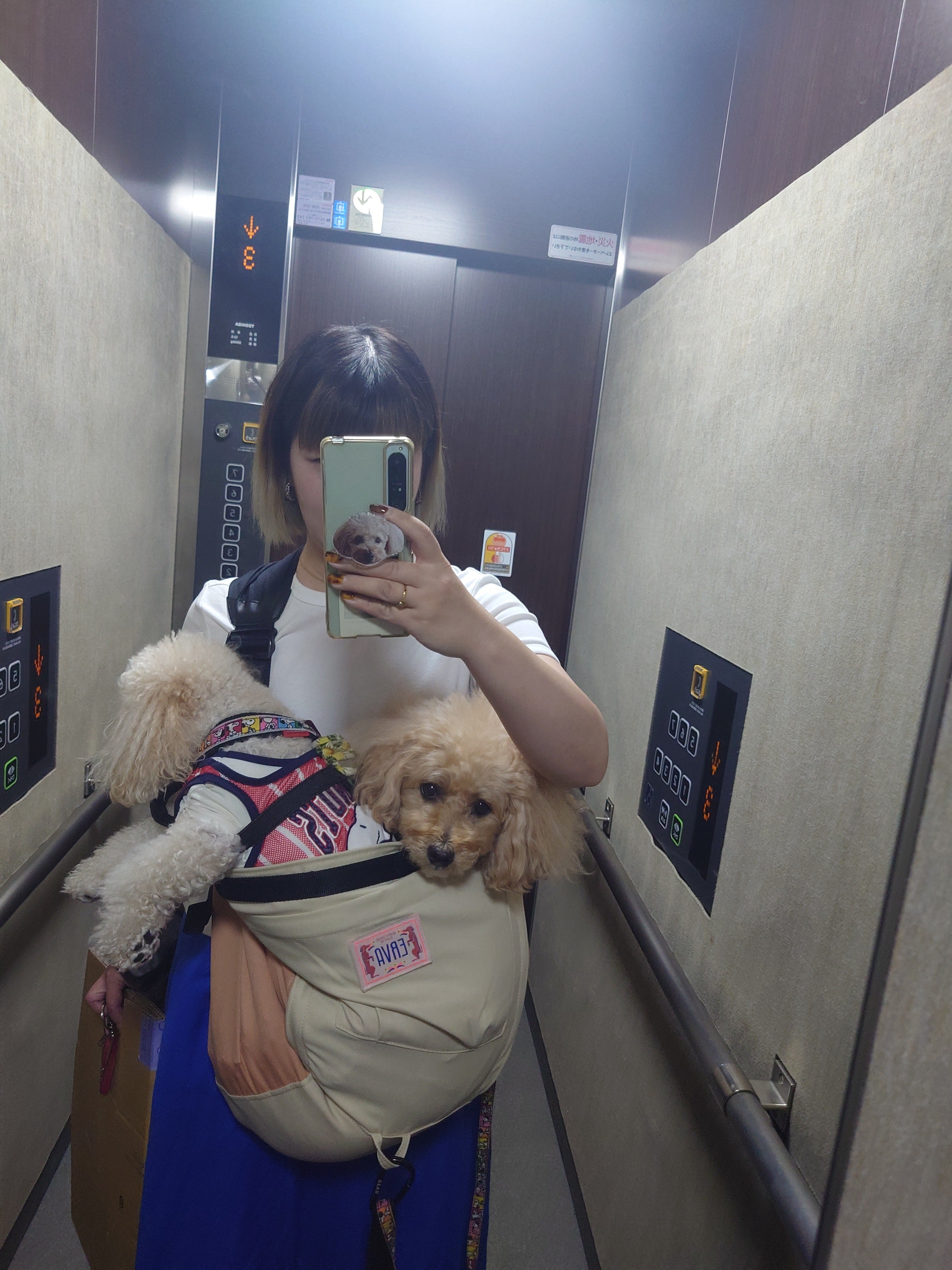 2頭並んで仲良く入っております