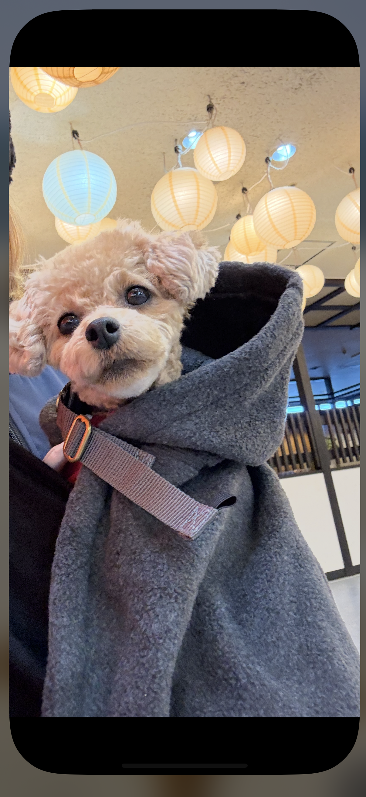 本当にお守りです