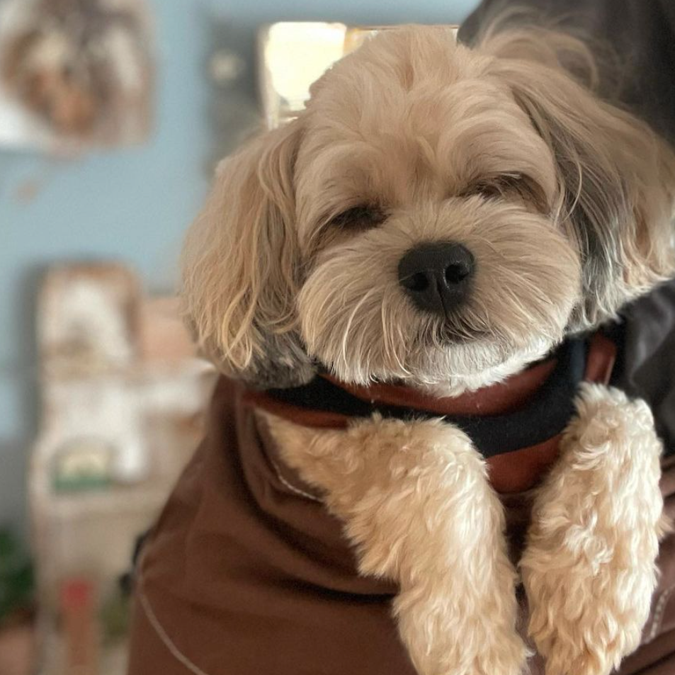 本当に出会えてよかったです