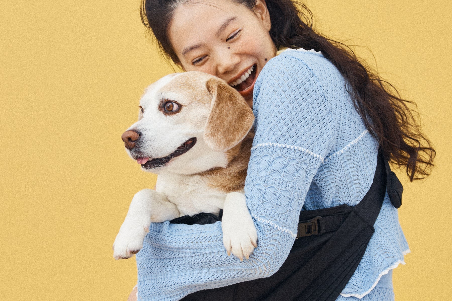 犬が抱っこ紐で抱っこされるのはかわいそうなの?