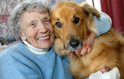 【追記あり】高齢者の健康のために犬との暮らしをすすめることの違和感について
