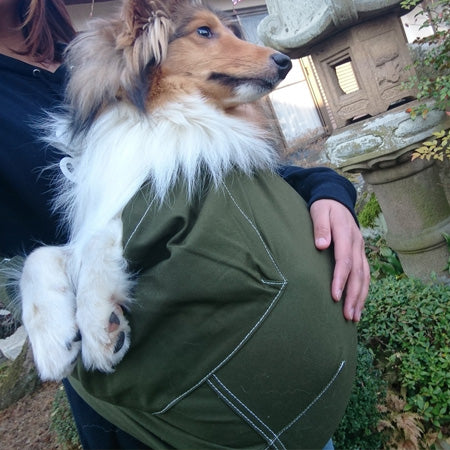 愛犬もすっぽり落ち着いています