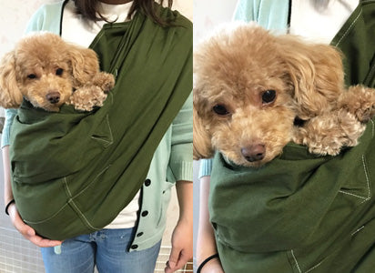 良い子にしてます!