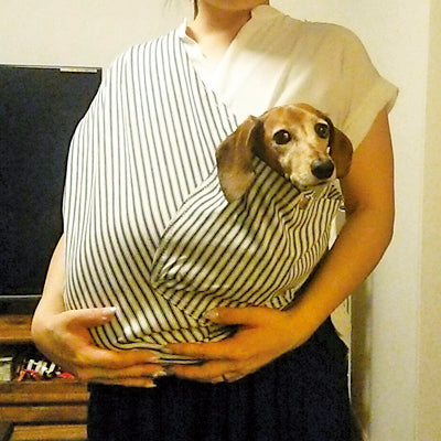 ヒトとワンコが絶妙に密着しているところがポイント