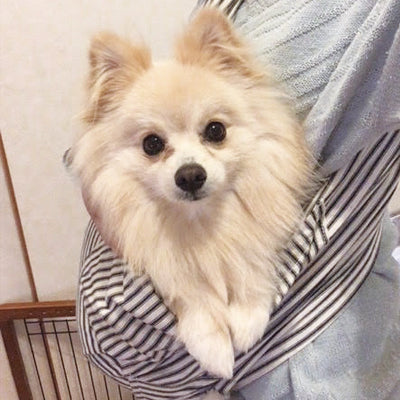 抱いていても凄く楽