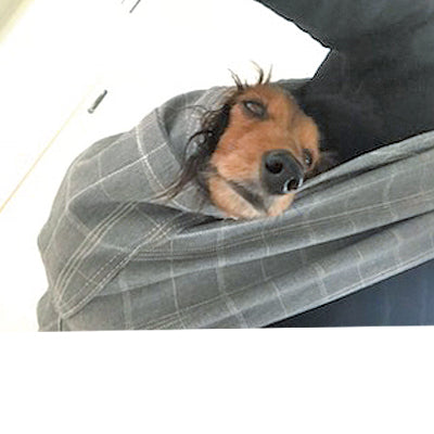 とても良かったです!