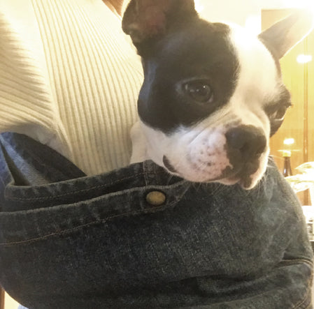 気持ち良さそうに寝始めました笑