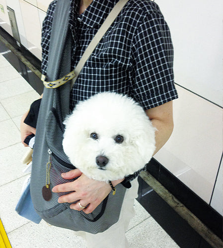 長い体のコロンも上手に丸くおさまってくれました。