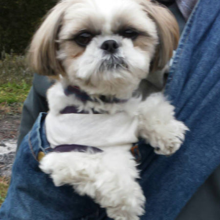 ワンコも安心してリラックス