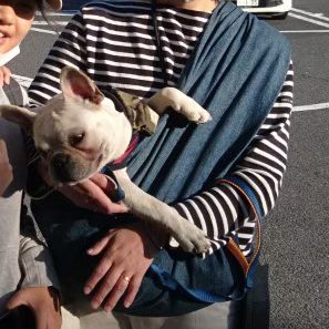 オシャレで使いやすそう