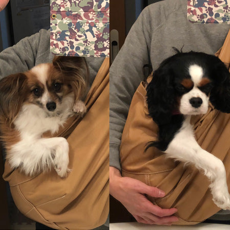 上側に抱けるのですごく楽