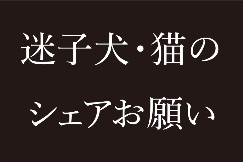 【拡散希望】大阪地震で迷子になった犬・猫をまとめました。皆さん拡散のご協力お願い