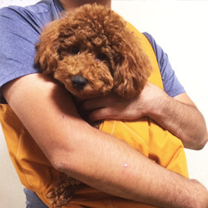 すっかり落ち着いて全く動こうとしません。