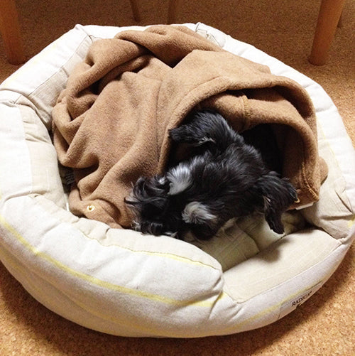 シニアには大助かりです。