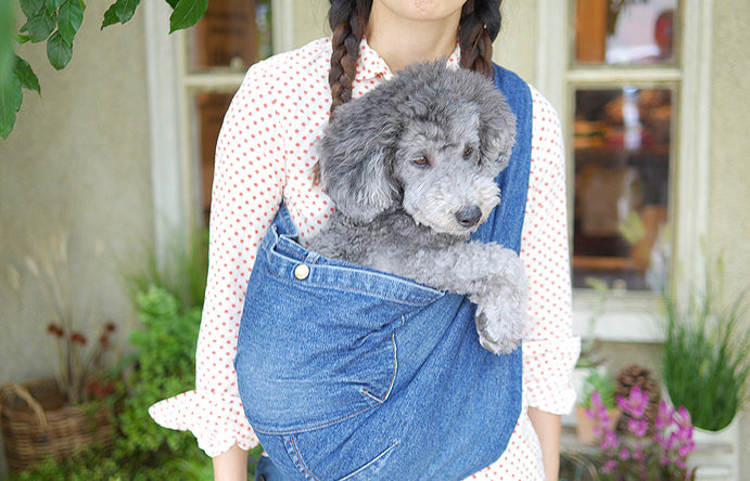 犬用抱っこ紐、スリングタイプ