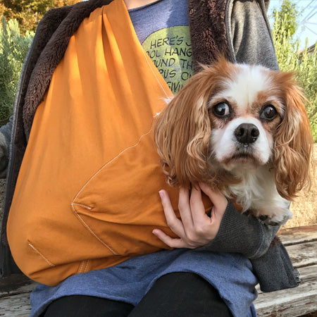 慣れると大人しく中で収まってくれています