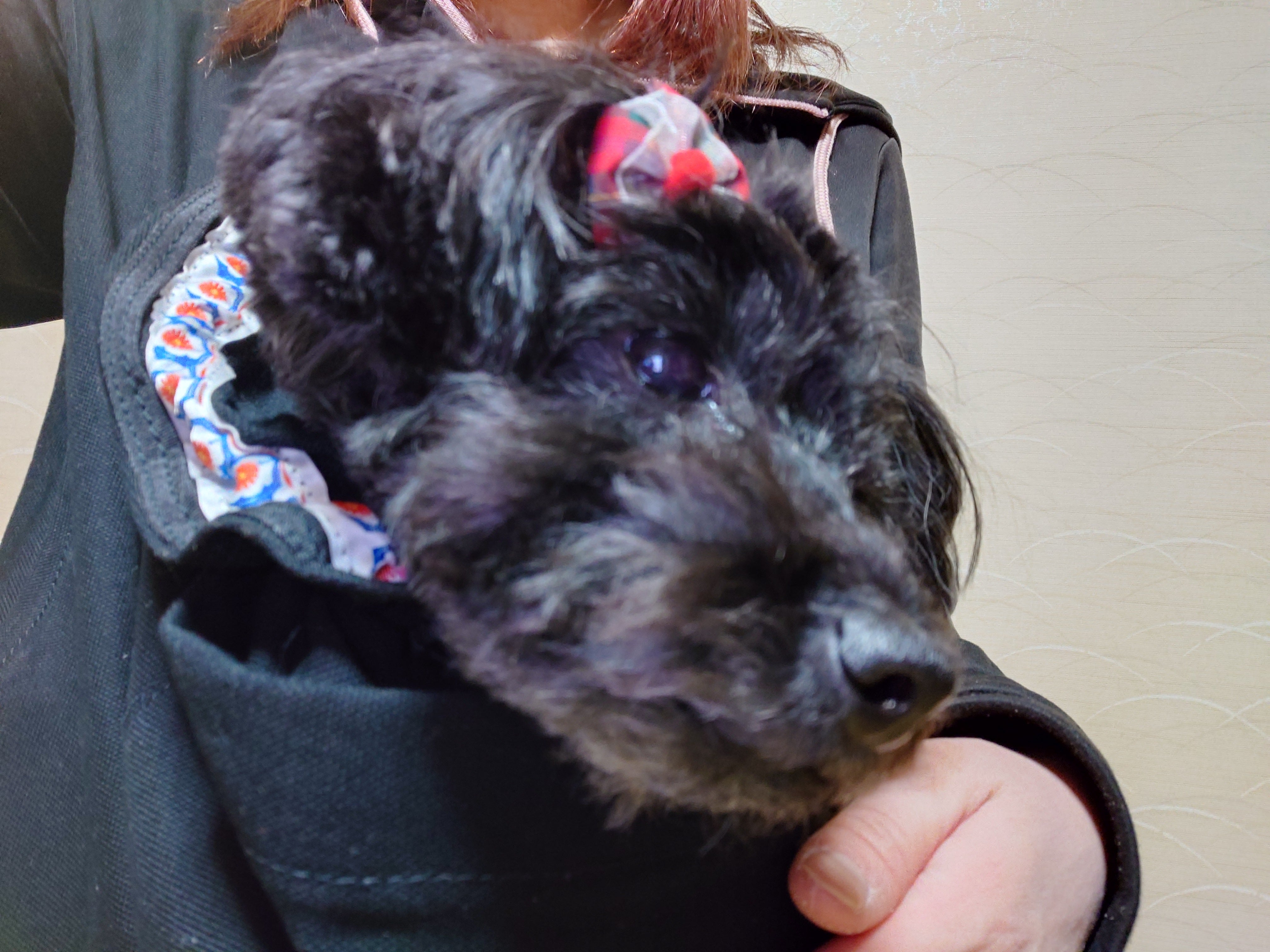 入ったらうっとり