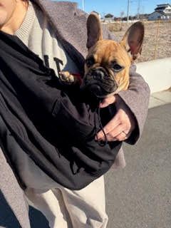 リピートします