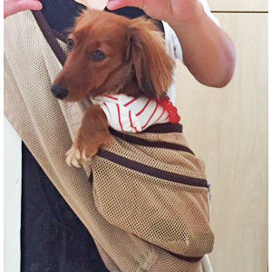 どこにお出かけしても褒められます☆