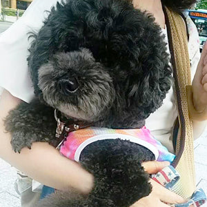 7キロだけど一時間は大丈夫でした。