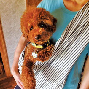 生地もしっかりしてるし、安定してます。