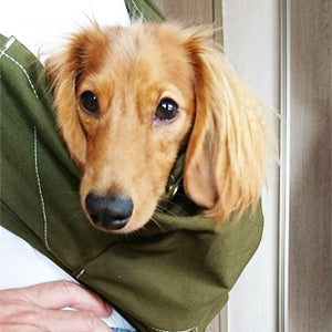 雨の日だって、安心です