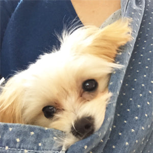 これからもどんどん使っていけそう