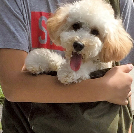 自分から入ってくるぐらい気にいってるようです