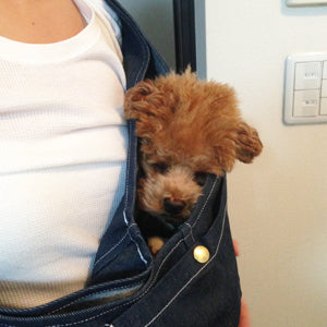 愛犬とのお出かけが楽しみ