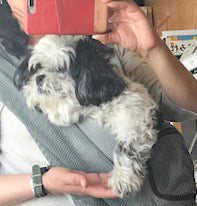 通院でも大活躍