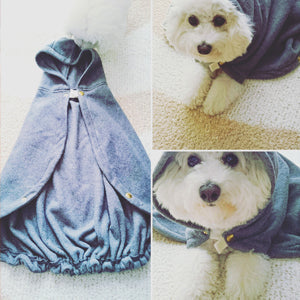 寒がりの愛犬のために