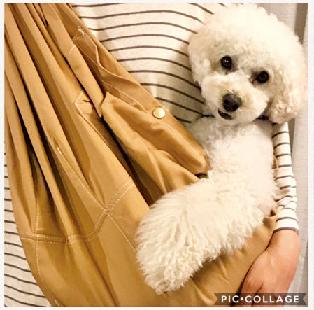 遠くまで一緒にお出かけできそうです!