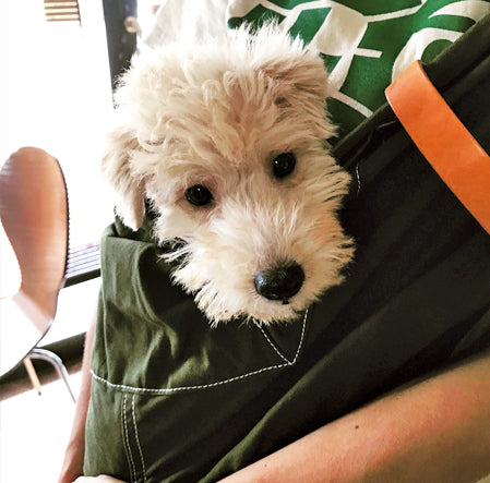 見せると早く入れて~と飛んで来るように