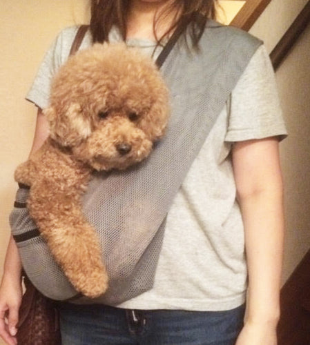 自転車で一緒に移動ができ快適