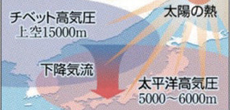 危険!!愛犬の熱中症、症状は?対処法は?熱中症の9割は室内で起こっている
