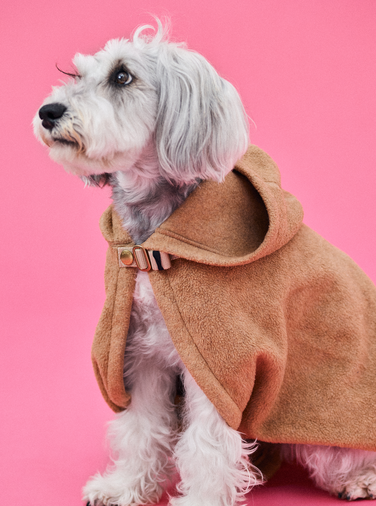 Mシュナ 7.8kg | キャメル Mサイズ