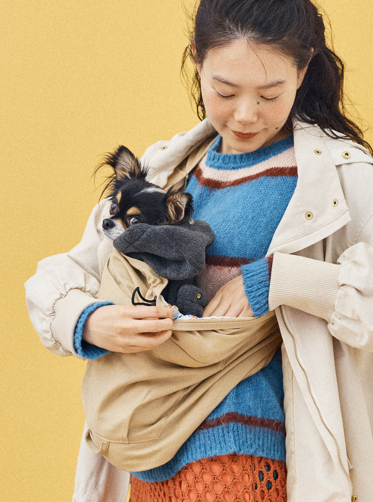 チワワ 2.5kg | チャコールS サイズ