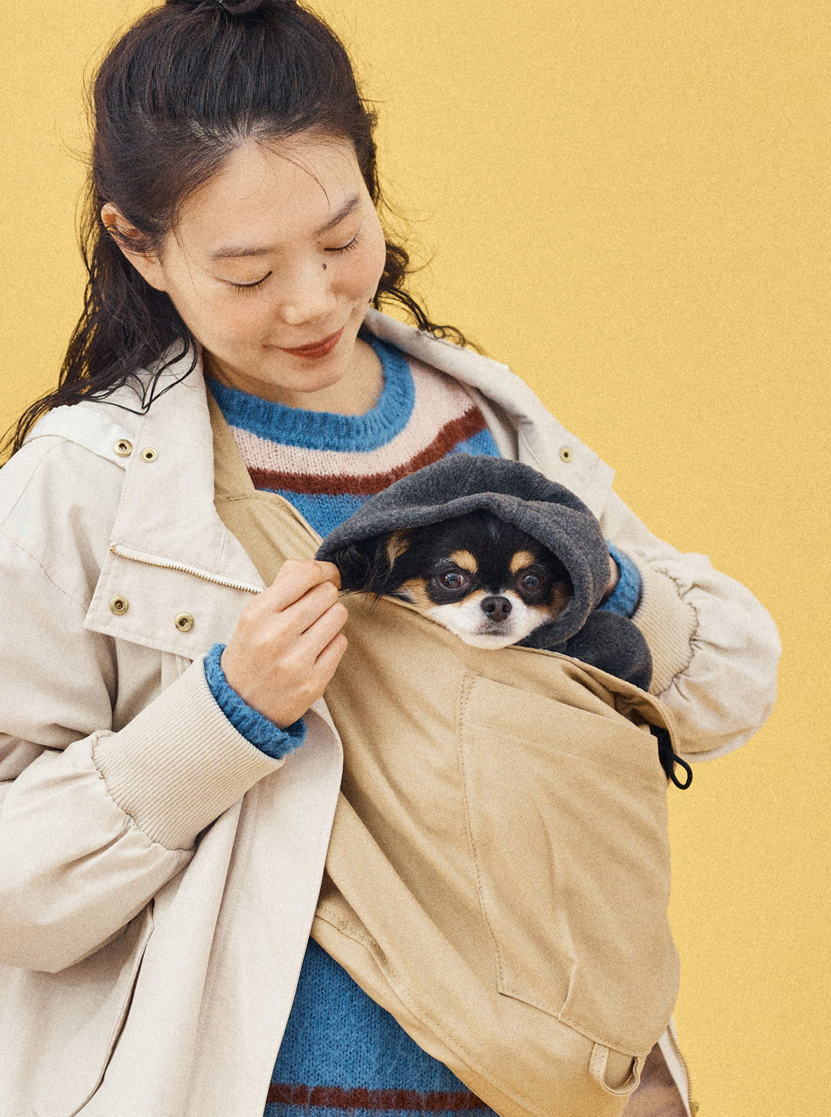 チワワ 2.5kg | チャコールS サイズ