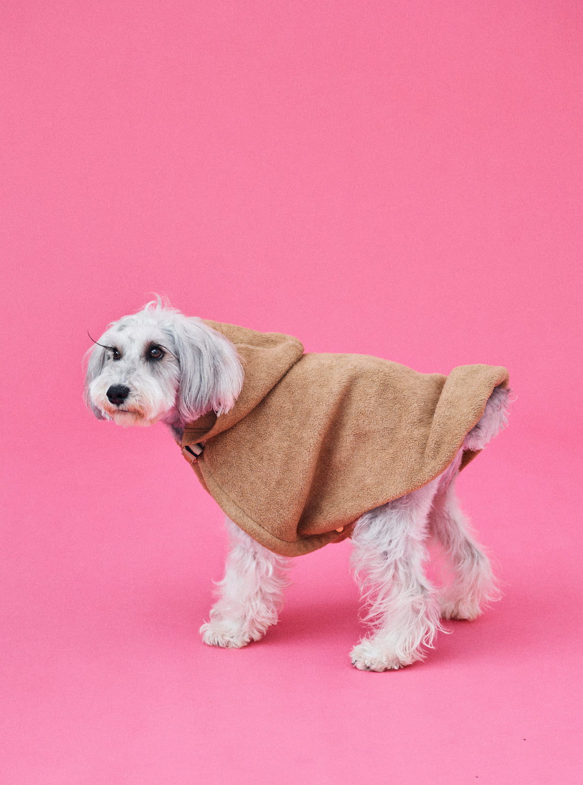 Mシュナ 7.8kg | キャメル Mサイズ